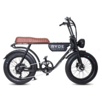 RydeKart250 Vintage Brown